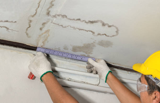 Reliable Water Damage Repair contractor in Nevada, TX by Aqua Guard Water Damage